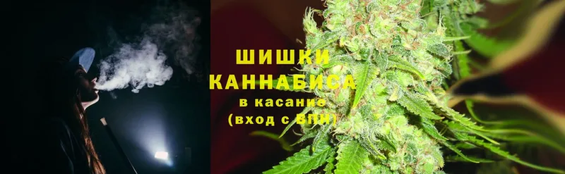 Бошки марихуана Bruce Banner  KRAKEN вход  Клинцы 